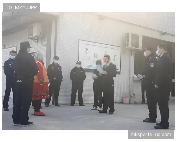 视频回放判罚规则解析：判罚标准与适用场景